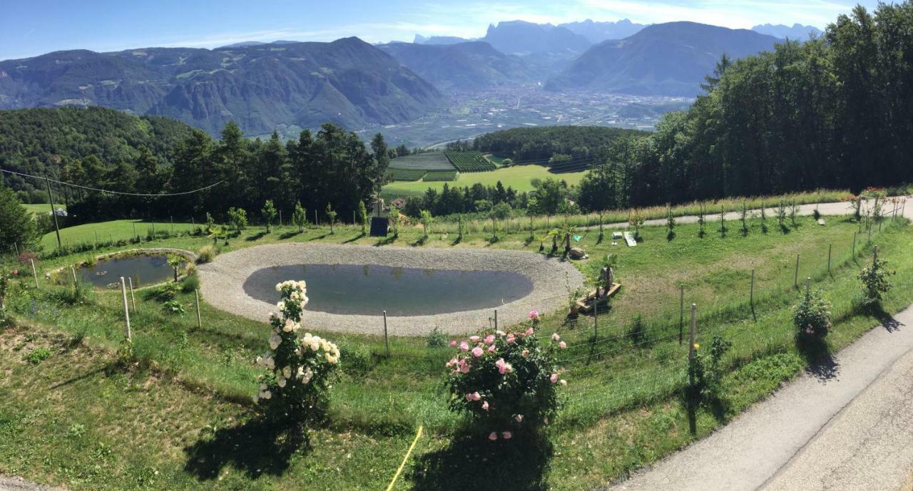 Pichler-Hof Apartment Predonico ภายนอก รูปภาพ