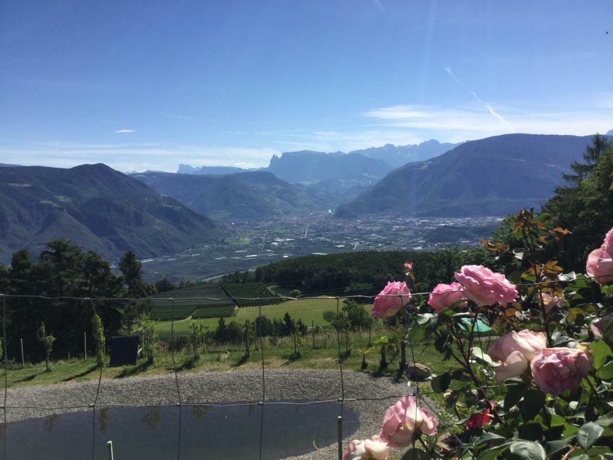 Pichler-Hof Apartment Predonico ภายนอก รูปภาพ