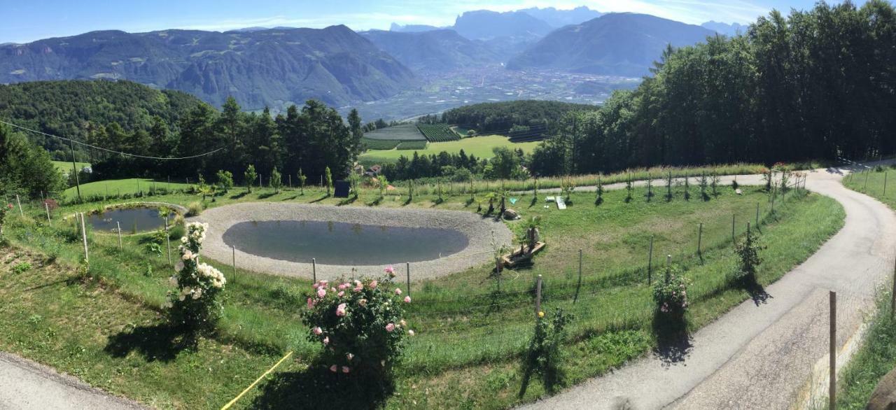 Pichler-Hof Apartment Predonico ภายนอก รูปภาพ